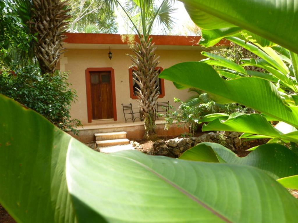 The Flycatcher Inn Retreat Hotel Santa Elena Exterior foto